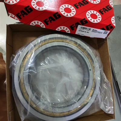 Vòng bi lăn hình trụ đôi hàng