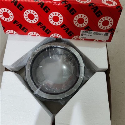 Vòng bi lăn hình trụ loại Nu